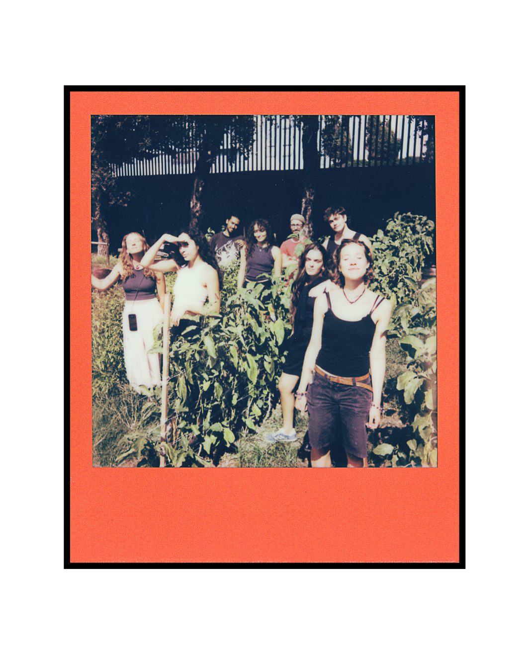 Polaroid I-Type Color Frame-03