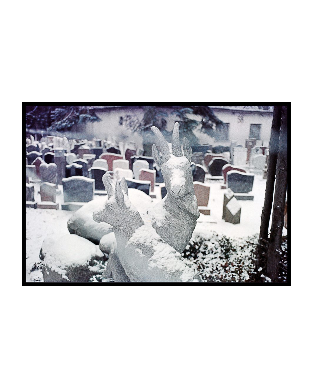 emilianovittoriosi15022025-046