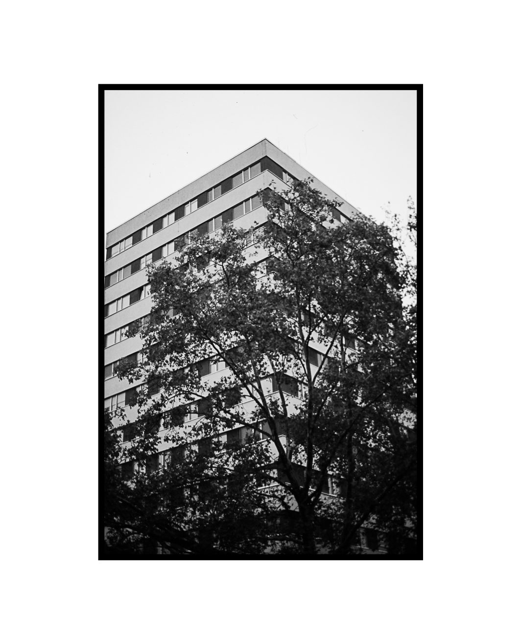 EMLVTT_06_03_2025-35